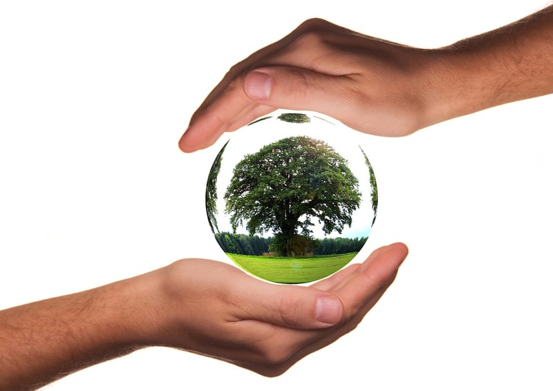 Earth and Environment